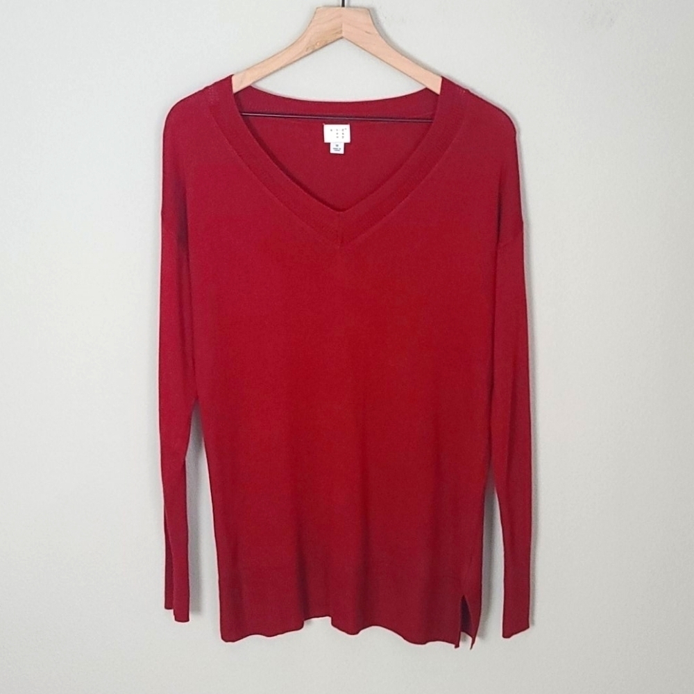 A New Day by Target Longlseeve Sweater